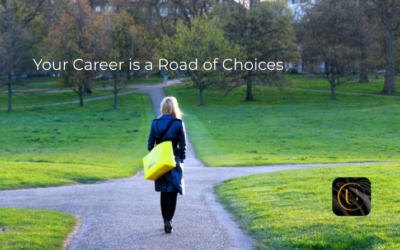 Career: The Road of Choices