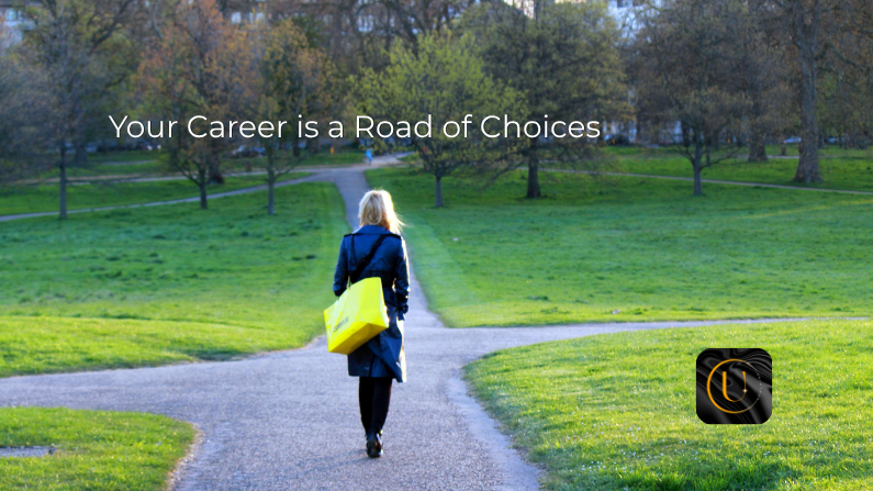 Career: The Road of Choices